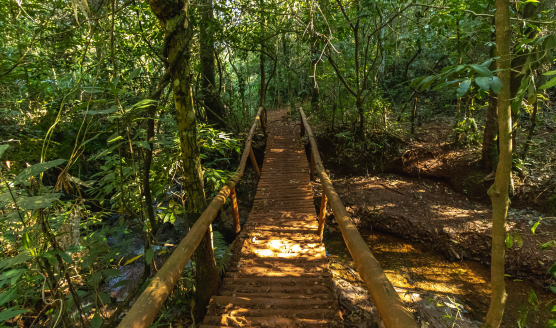 parque serra do rola moça: área verde pertinho de quem escolheu morar em nova lima