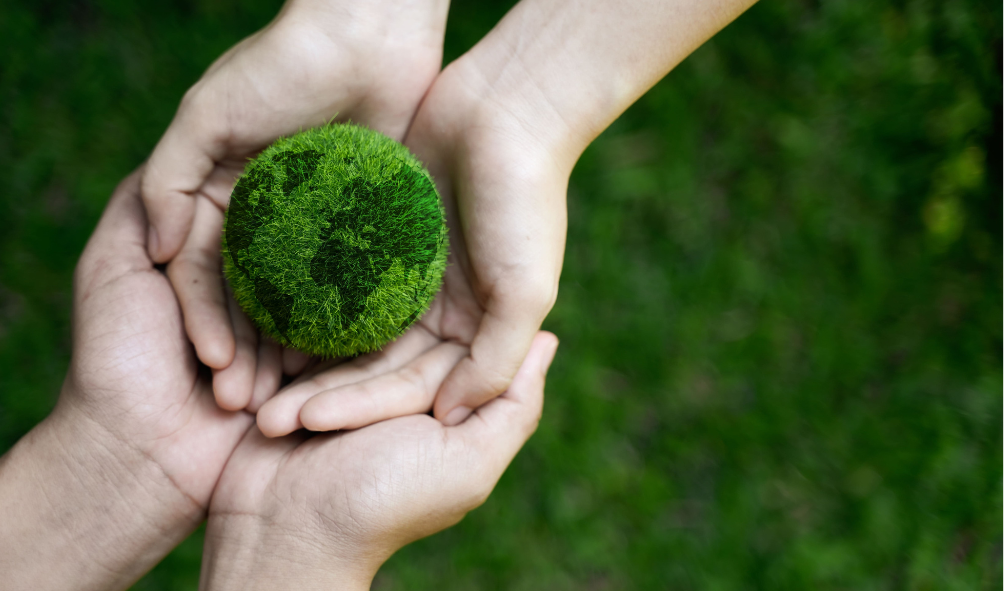 A importância da preservação e do turismo sustentável