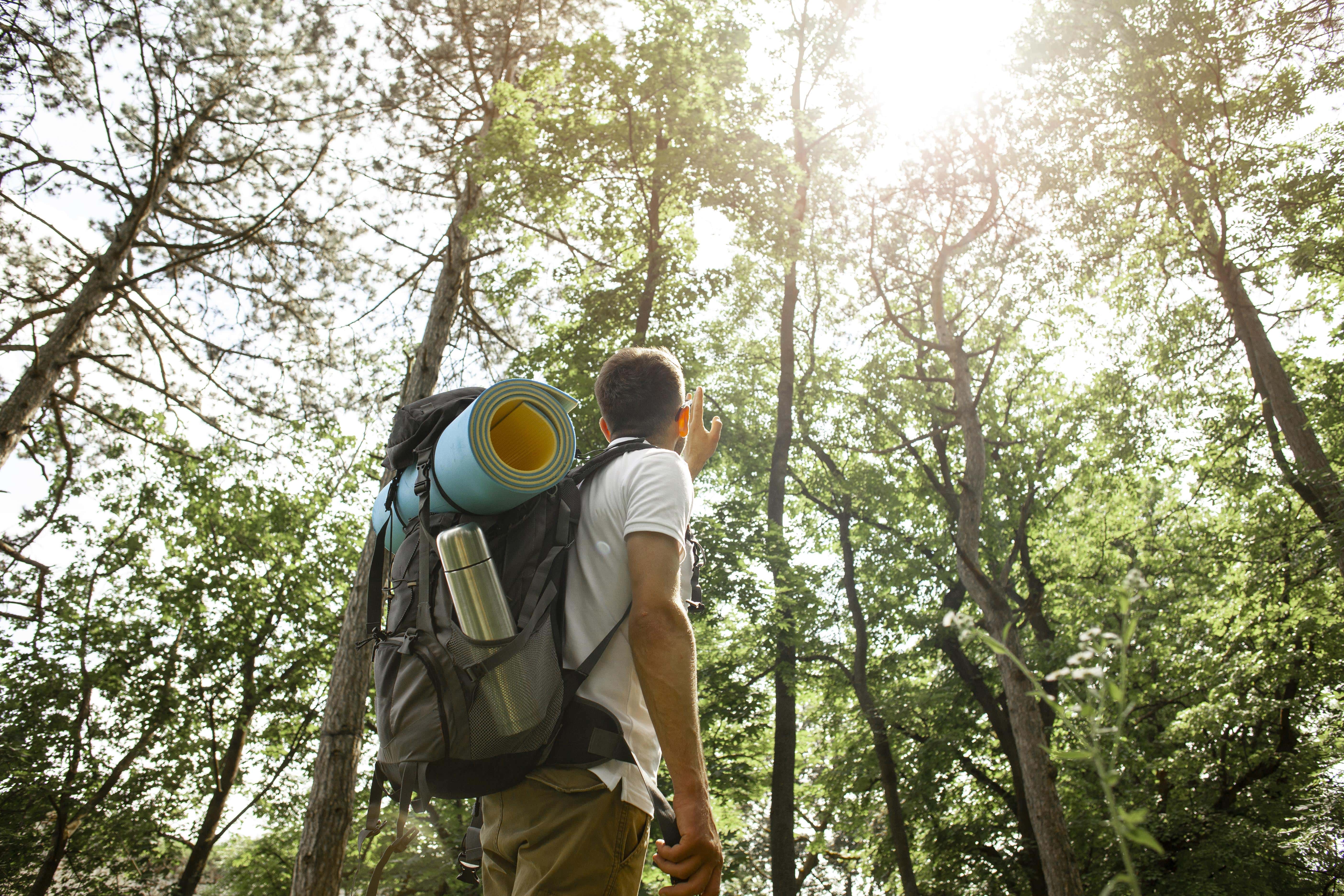 Experiência na Natureza