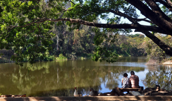 parque lagoa do nado